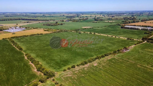 Venta Terreno / Lote Zárate
