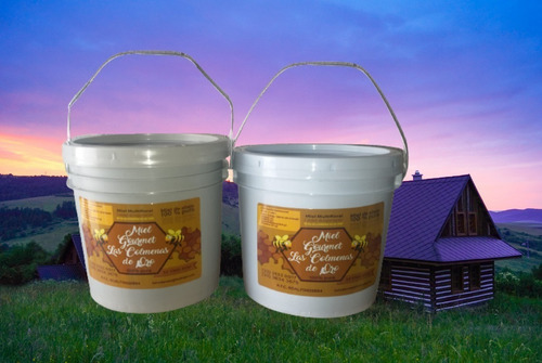 Miel Pura De Abeja 100%, Cubeta 5.4 Kilos / 4 Litros