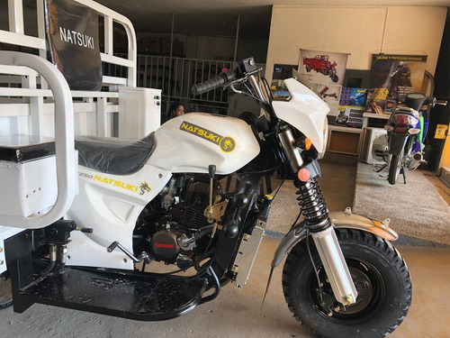 Natsuki Motocarro Doble Llanta