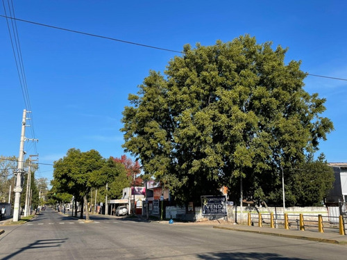 Terreno En Esquina Con Edificación Sobre Avenida Principal - Gran Posibilidad De Proyecto Comercial Y Desarrollo