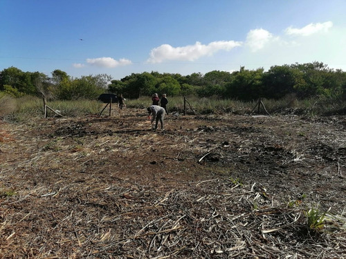 Imagen 3 de 5 de Terreno En Zona La Serena - La Paloma