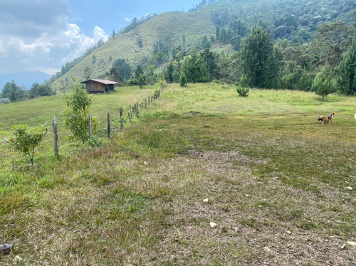 Venta Lote En La Catedral Envigado - La Miel 3.790 Mts2