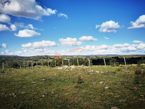 Campo Ganadero En Venta En Maldonado, A 60 Km De Punta Del Este- Ref: 26296