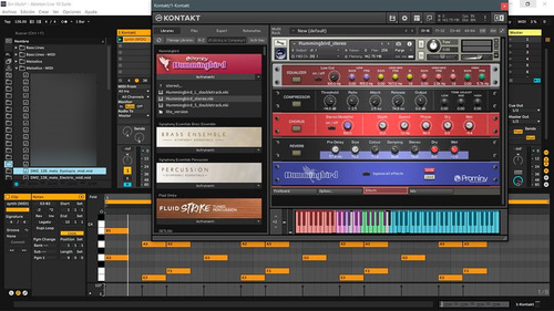 Livraria Kontakt Prominy Hummingbird V1-2-2c