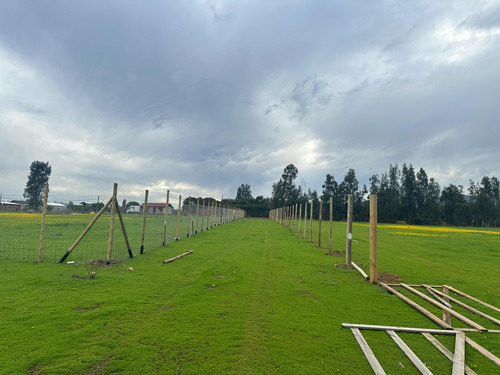 Terrenos 5.000mts2 Rol Propio Limache Sector Los Laureles