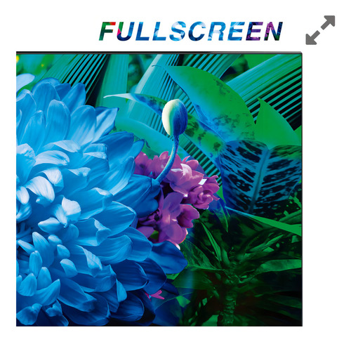 Smart Tv 40 Tcl 40s65a Android Fhd (solo Con Pantalla Mala) (Usado)