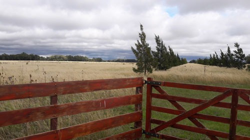 Imagen 1 de 4 de Campo En Venta En Punta Indio