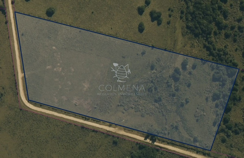 Imagen 16 de 16 de Campo De 5 Has Con 5891 M2 - San Carlos