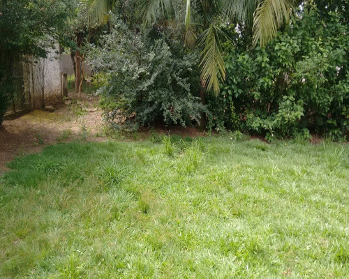 Chácara 1.500 M² - Palermo - Gravataí - Rs - 1083 - 32419604