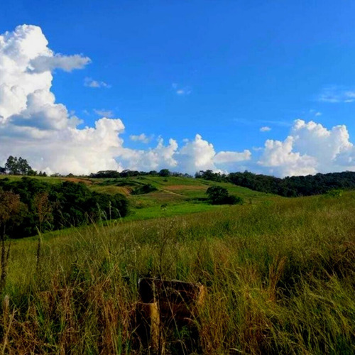 Imagem 15 de 15 de 11o- Terreno Com Ótima Topografia