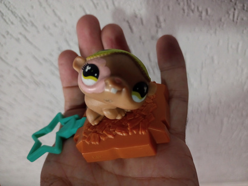 3 Bonecos Littlest Pet Shop Usados Na Condição Das Fotos (Usado)
