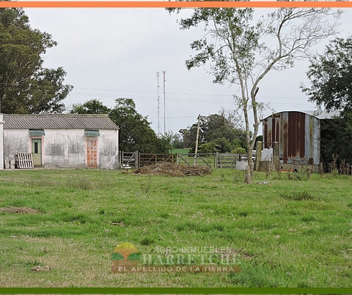 Campo 24 Has En Venta Canelones
