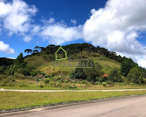 Imagem 14 de 30 de Rancho Queimado Sc - Lindo Terreno Á Venda Com 3 Hectares Em Residencial Fechado - Te00048 - 70795800