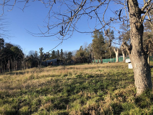 Imagen 4 de 5 de Terreno - La Reja