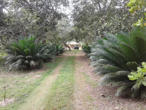 Te Vendo Excelente Finca En Monte Plata