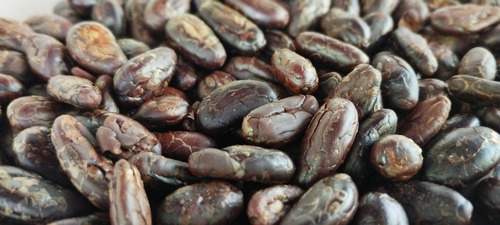 Cacao En Pasta Artesanal Pergal