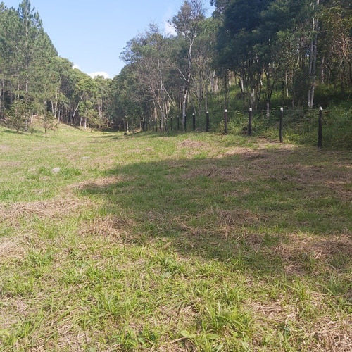 Imagem 7 de 12 de Terreno Em Juquítiba Sp 5 Mil Metros