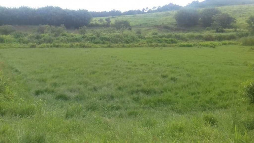 57 Alqueires Muzambinho Mg Porteira Fechada 5,000,000,00 - 39124