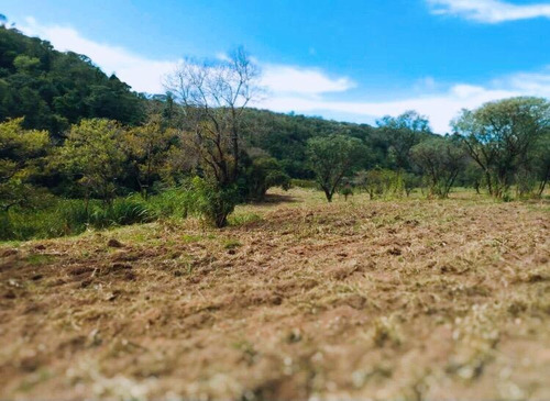 Imagem 3 de 5 de Ts/projeto Chacara Na Planta Valores Acessíveis