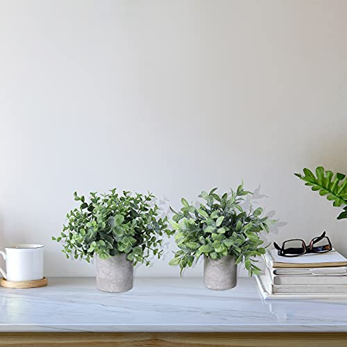Plantas Artificiales Eucalipto Y Boj Con Maceta Cilindrica Verde