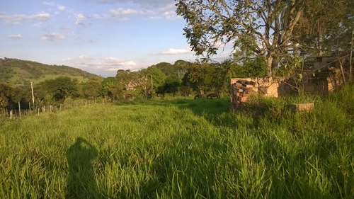Terreno / Área Para Comprar No Zona Rural Em Bom Jesus Do Amparo/mg - 2230