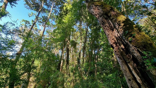 Parcela En Venta Lomas Del Mirador Puerto Varas