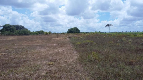 Imagem 29 de 30 de Chácara Com 3 Dormitórios À Venda, 58105 M² Por R$ 900.000,00 - Mendes - São José De Mipibu/rn - Ch0009