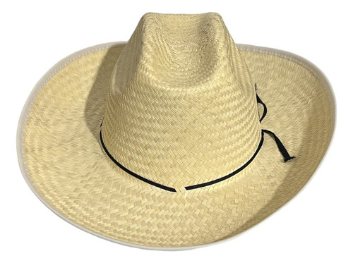 Sombrero Truman Palmilla Fina Natural Mayoreo Vaquero