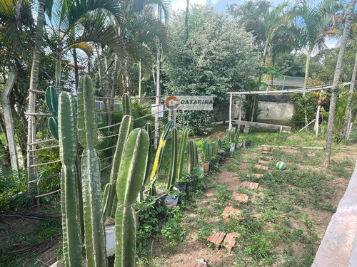 Imagem 2 de 29 de ***belíssima Chácara Com Excelente Localização.***