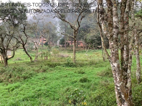 Imagem 30 de 30 de Sitio - St00005 - 34466646
