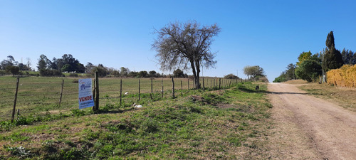 Lote En Esquina, Zona Termas, Con Servicios