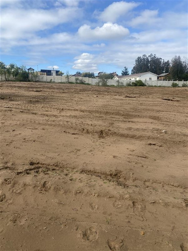Imagen 5 de 12 de Terrenos Exclusivos Los Pinos De Reñaca/venta Sin Comisión