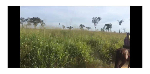 Imagem 13 de 22 de Fazenda 1958 Hectares, Planta 1500 Hectares, Rica Em Água Com Rios, Açudes, Casas, Curral, Galpões, Poços Artesianos, Terra Fértil - Fa00237 - 70701334