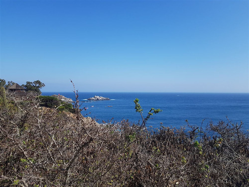 Venta Terreno En Construcción Algarrobo, Sector Tunquén
