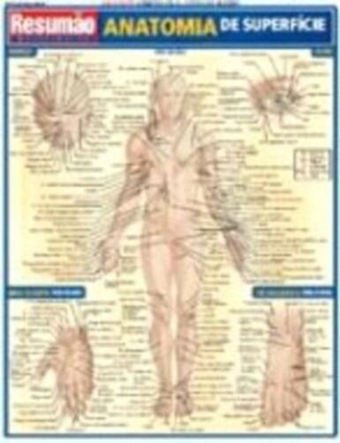Anatomia De Superficie Resumao