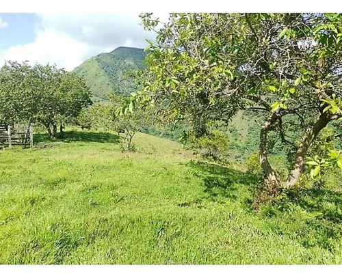 Lote En Venta En San Jerónimo