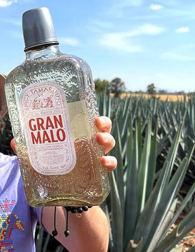 Pack De 12 Licor De Tequila Gran Malo Tamarindo 750 Ml