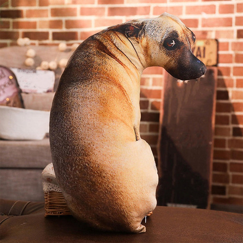 Almofada 3d Cachorro Caramelo Meme 50cm - Pronta Entrega2025