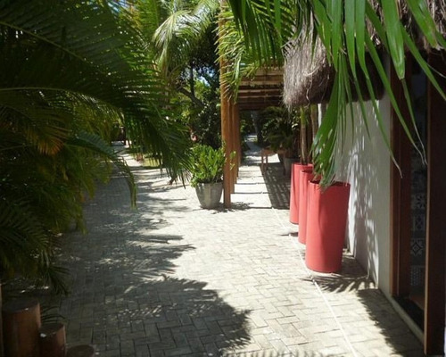 Imagem 14 de 15 de Casa - Pcbvax - 32313374