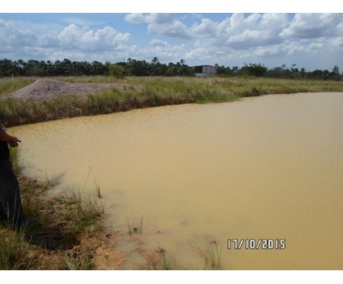 Imagen 6 de 9 de Se Vende Finca En Temblador Ve02-262vs-ssil