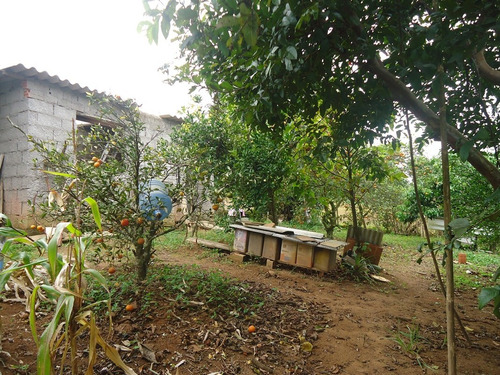 Imagem 9 de 13 de Boa Chácara Bairro Puris 1640,00m2
