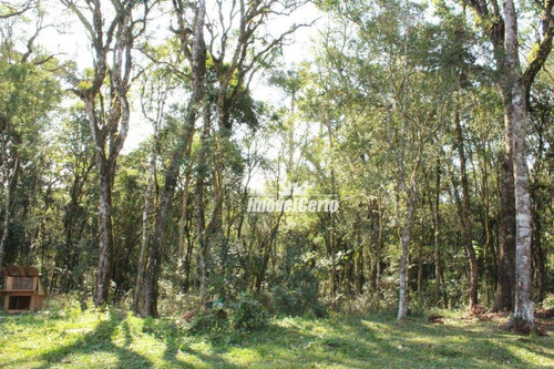 Imagem 18 de 30 de Chácara Rural À Venda, Areia Branca, Mandirituba. - Ch0004