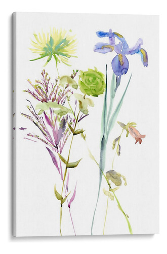 Canvas Lab Cuadro Estudio Floral De Acuarela Ii 80x120