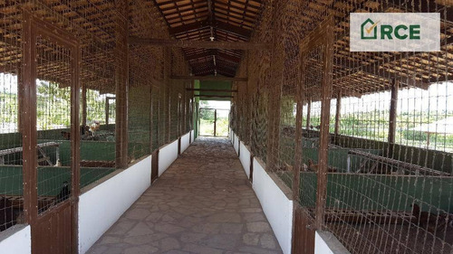 Terreno À Venda, 750 M² Por R$ 67.000,00 - Macaíba - Macaíba/rn - Te0061