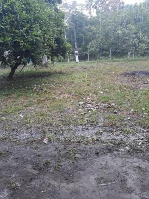 Chácara Com 2 Mil Metros E Escritura Em Itanhaém Litoral Sul