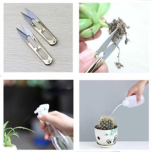 Wesdxc 15 Piezas Herramientas De Plantas Suculentas, Mini He