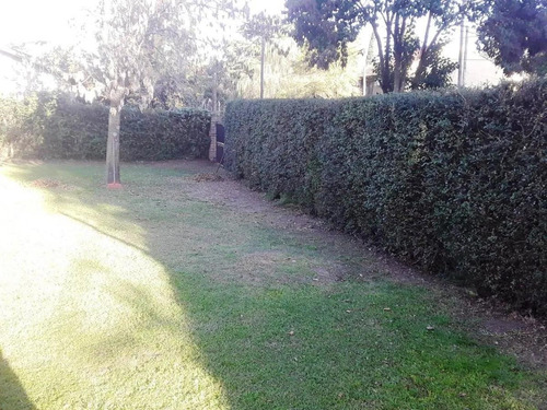 Imagen 4 de 14 de Terreno - Villa Rosa