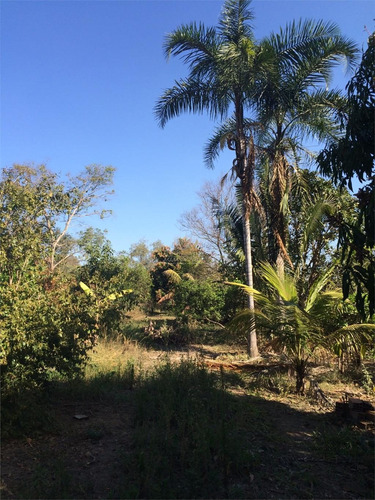 Imagem 5 de 7 de Terreno Residencial À Venda, Bairro Canjica, Itu. - Te0060