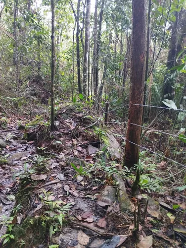 Lote En Guarne
