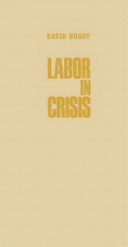 Labor In Crisis : The Steel Strike Of 1919, De David Brody. Editorial Abc-clio, Tapa Dura En Inglés